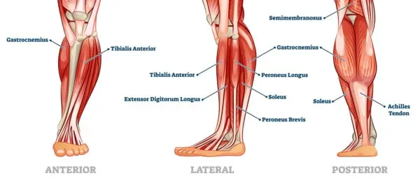 Gastrocnemius Recession Review: Should You Get This Invasive Surgery?