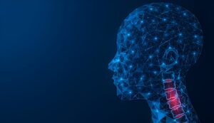 3D illustration hihglight the and head and neck pain