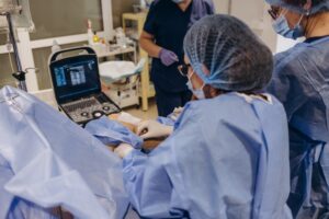 Surgical team performing a minimally invasive vascular procedure, specifically a phlebectomy or laser ablation for varicose veins.